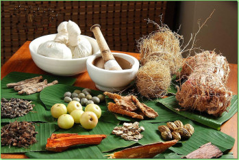 Few ingredients of Ayurvedic Medicine Few ingredients of Ayurvedic Medicine